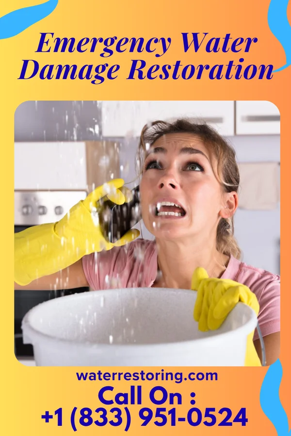 Emergency Water Damage Restoration in Libertyville, AL